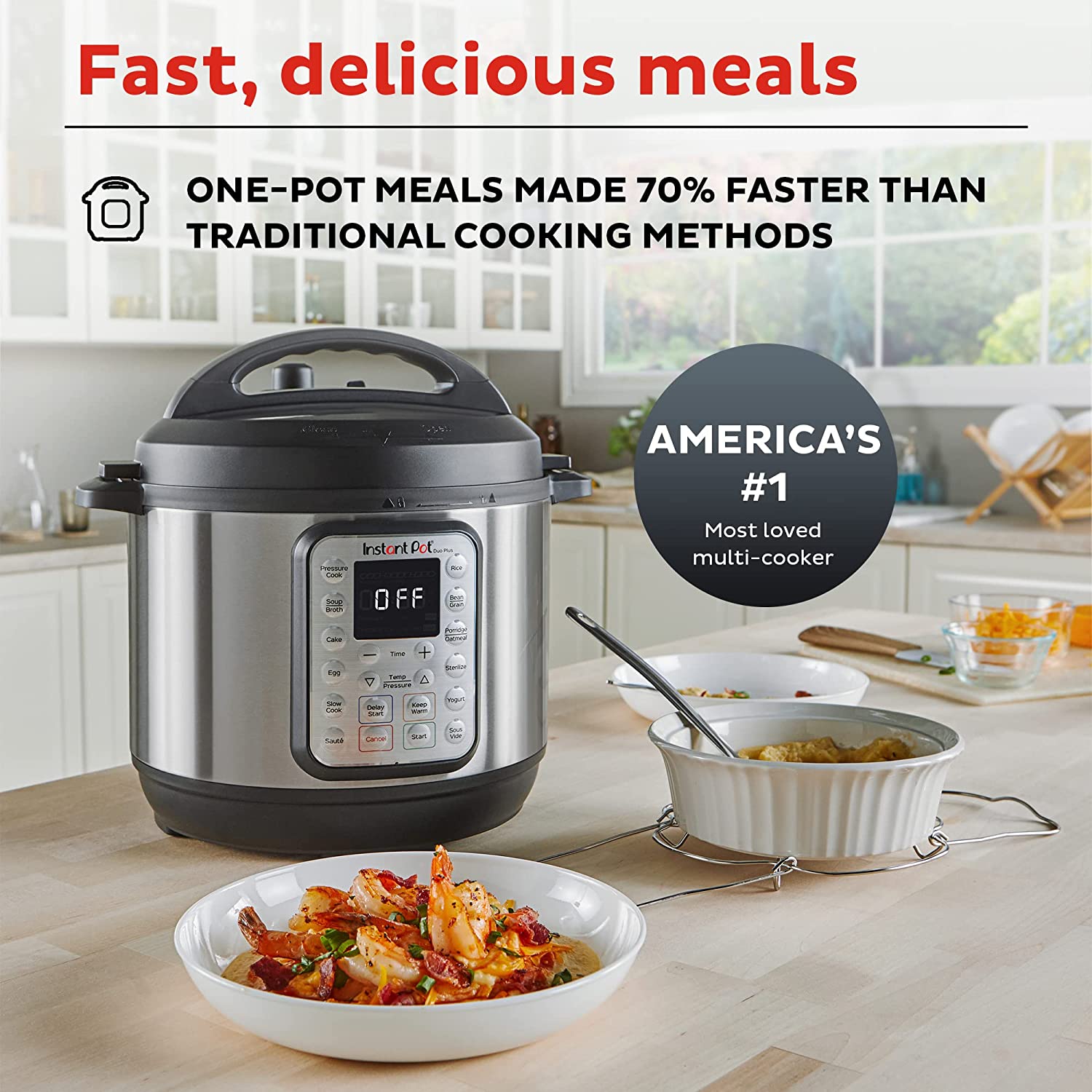 Instant Pot Duo Evo Plus review